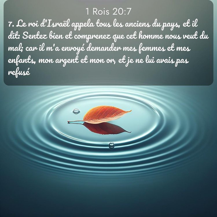 Segond 1 Rois 20:7