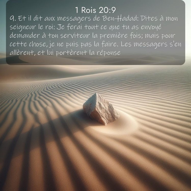 Segond 1 Rois 20:9