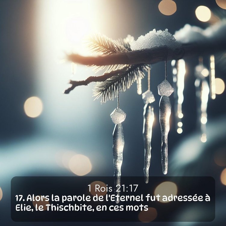 Segond 1 Rois 21:17