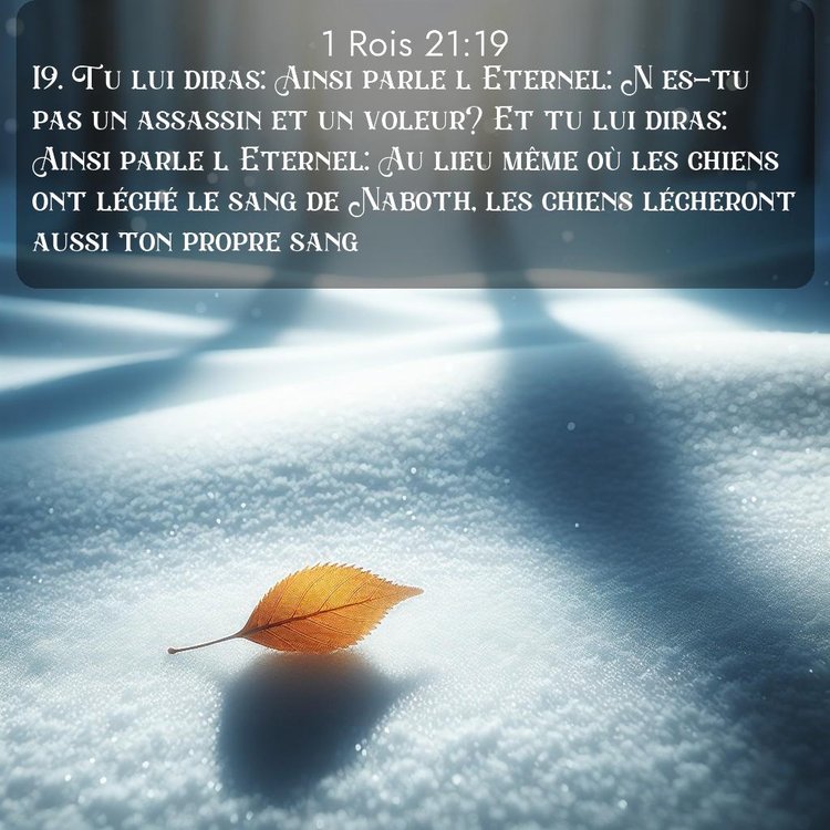 Segond 1 Rois 21:19