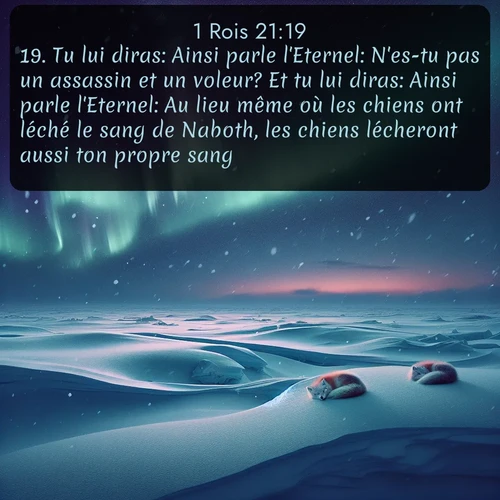 Segond 1 Rois  ; image nature: image avec le verset biblique :Tu lui diras: Ainsi parle l&#039;Eternel: N&#039;es-tu pas un assassin et un voleur? Et tu lui diras: Ainsi parle l&#039;Eternel: Au lieu même où les chiens ont léché le sang de Naboth, les chiens lécheront aussi ton propre sang. ;  ; 21:19