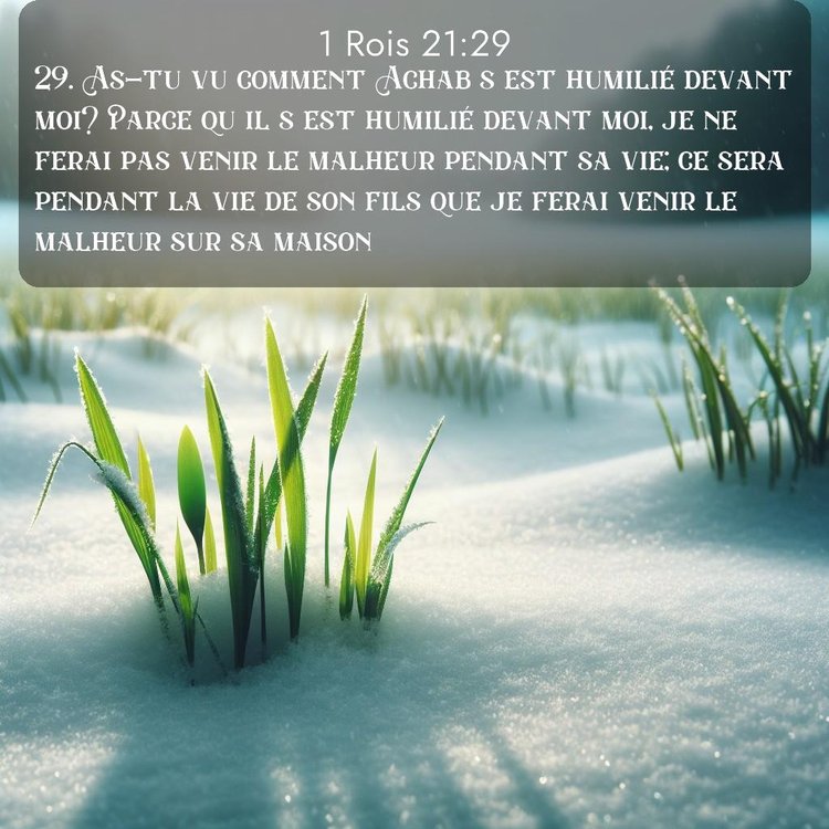 Segond 1 Rois 21:29