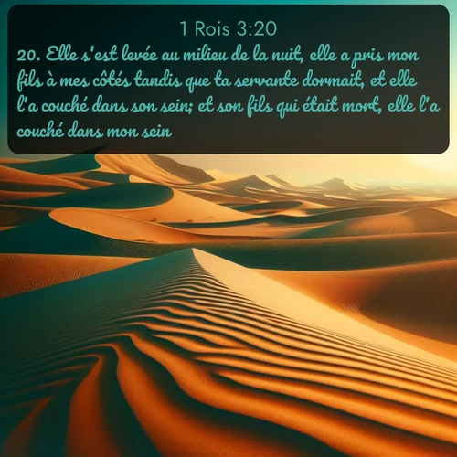 Segond 1 Rois  ; image nature: image avec le verset biblique :Elle s&#039;est levée au milieu de la nuit, elle a pris mon fils à mes côtés tandis que ta servante dormait, et elle l&#039;a couché dans son sein; et son fils qui était mort, elle l&#039;a couché dans mon sein. ;  ; 3:20