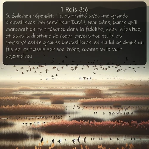 Segond 1 Rois  ; image nature: image avec le verset biblique :Salomon répondit: Tu as traité avec une grande bienveillance ton serviteur David, mon père, parce qu&#039;il marchait en ta présence dans la fidélité, dans la justice, et dans la droiture de coeur envers toi; tu lui as conservé cette grande bienveillance, et tu lui as donné un fils qui est assis sur son trône, comme on le voit aujourd&#039;hui. ;  ; 3:6