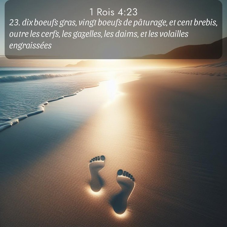 Segond 1 Rois 4:23