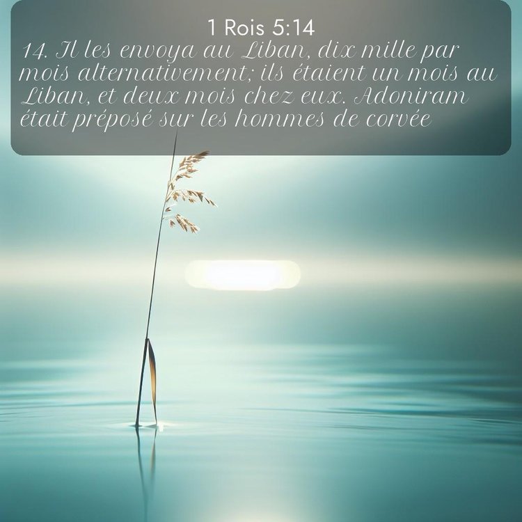 Segond 1 Rois 5:14