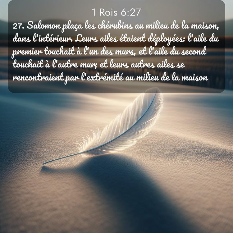 Segond 1 Rois 6:27