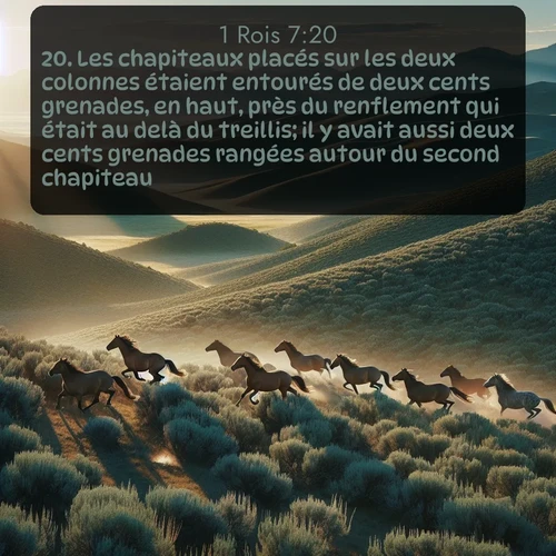 Segond 1 Rois  ; image nature: image avec le verset biblique :Les chapiteaux placés sur les deux colonnes étaient entourés de deux cents grenades, en haut, près du renflement qui était au delà du treillis; il y avait aussi deux cents grenades rangées autour du second chapiteau. ;  ; 7:20
