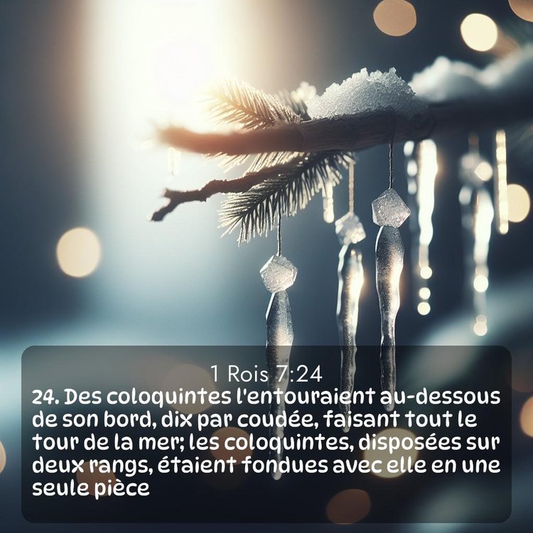 Segond 1 Rois 7:24