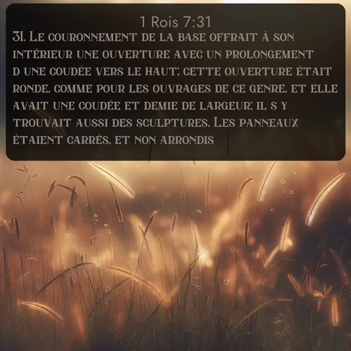 Segond 1 Rois  ; image nature: image avec le verset biblique :Le couronnement de la base offrait à son intérieur une ouverture avec un prolongement d&#039;une coudée vers le haut; cette ouverture était ronde, comme pour les ouvrages de ce genre, et elle avait une coudée et demie de largeur; il s&#039;y trouvait aussi des sculptures. Les panneaux étaient carrés, et non arrondis. ;  ; 7:31