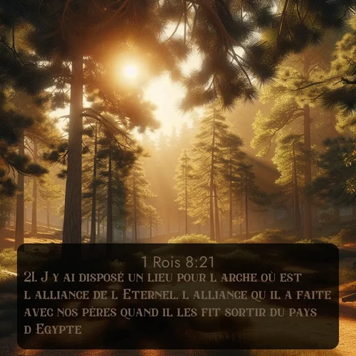 Segond 1 Rois  ; image nature: image avec le verset biblique :J&#039;y ai disposé un lieu pour l&#039;arche où est l&#039;alliance de l&#039;Eternel, l&#039;alliance qu&#039;il a faite avec nos pères quand il les fit sortir du pays d&#039;Egypte. ;  ; 8:21