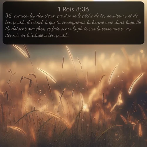 Segond 1 Rois  ; image nature: image avec le verset biblique :exauce-les des cieux, pardonne le péché de tes serviteurs et de ton peuple d&#039;Israël, à qui tu enseigneras la bonne voie dans laquelle ils doivent marcher, et fais venir la pluie sur la terre que tu as donnée en héritage à ton peuple! ;  ; 8:36