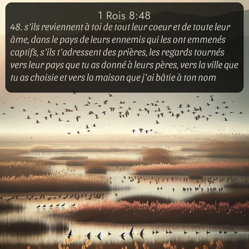 Segond 1 Rois  ; image nature: image avec le verset biblique :s&#039;ils reviennent à toi de tout leur coeur et de toute leur âme, dans le pays de leurs ennemis qui les ont emmenés captifs, s&#039;ils t&#039;adressent des prières, les regards tournés vers leur pays que tu as donné à leurs pères, vers la ville que tu as choisie et vers la maison que j&#039;ai bâtie à ton nom, - ;  ; 8:48