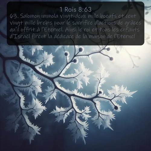 Segond 1 Rois  ; image nature: image avec le verset biblique :Salomon immola vingt-deux mille boeufs et cent vingt mille brebis pour le sacrifice d&#039;actions de grâces qu&#039;il offrit à l&#039;Eternel. Ainsi le roi et tous les enfants d&#039;Israël firent la dédicace de la maison de l&#039;Eternel. ;  ; 8:63