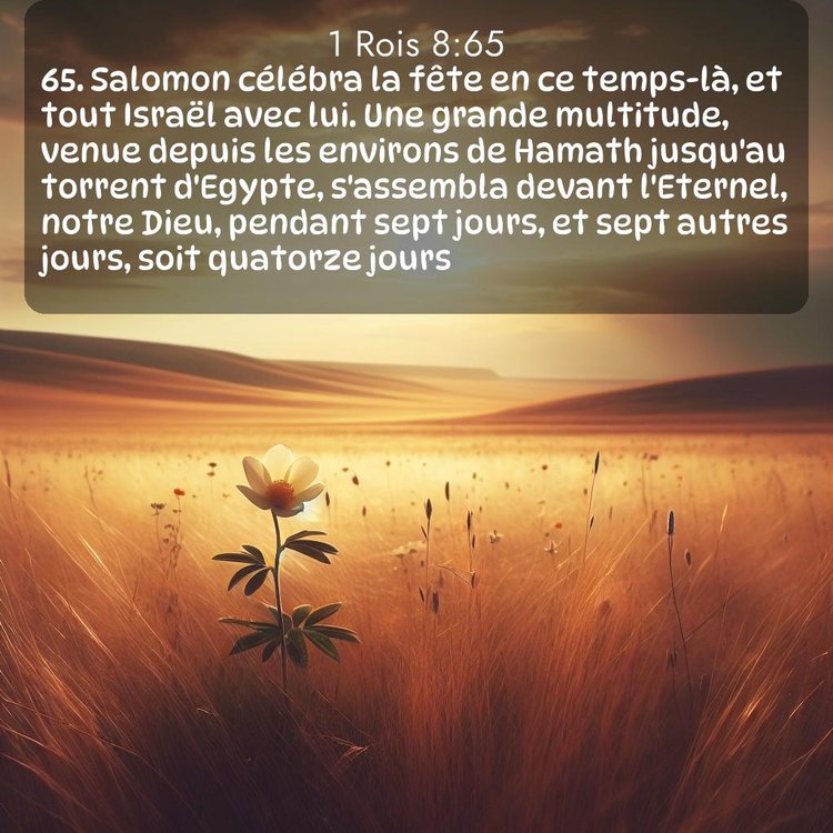 Segond 1 Rois 8:65