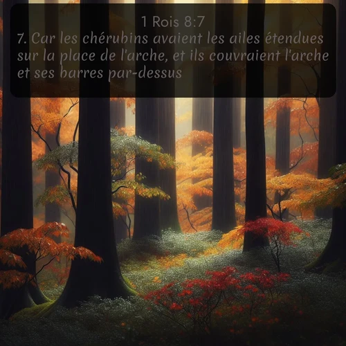 Segond 1 Rois  ; image nature: image avec le verset biblique :Car les chérubins avaient les ailes étendues sur la place de l&#039;arche, et ils couvraient l&#039;arche et ses barres par-dessus. ;  ; 8:7