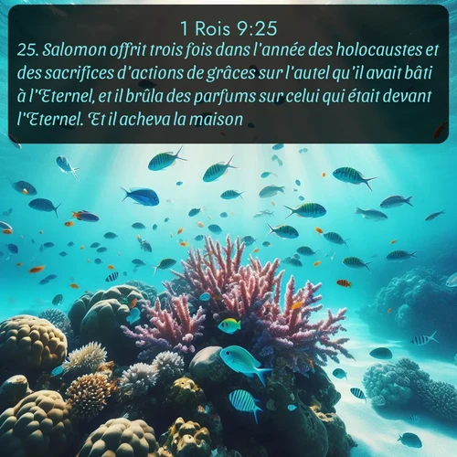 Segond 1 Rois  ; image nature: image avec le verset biblique :Salomon offrit trois fois dans l&#039;année des holocaustes et des sacrifices d&#039;actions de grâces sur l&#039;autel qu&#039;il avait bâti à l&#039;Eternel, et il brûla des parfums sur celui qui était devant l&#039;Eternel. Et il acheva la maison. ;  ; 9:25