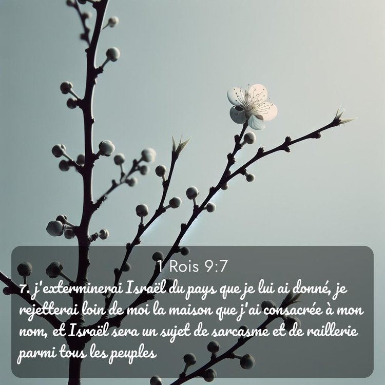 Segond 1 Rois 9:7