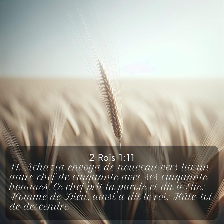 Segond 2 Rois 1:11