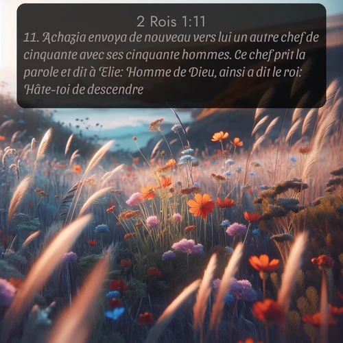 Segond 2 Rois  ; image nature: image avec le verset biblique :Achazia envoya de nouveau vers lui un autre chef de cinquante avec ses cinquante hommes. Ce chef prit la parole et dit à Elie: Homme de Dieu, ainsi a dit le roi: Hâte-toi de descendre! ;  ; 1:11