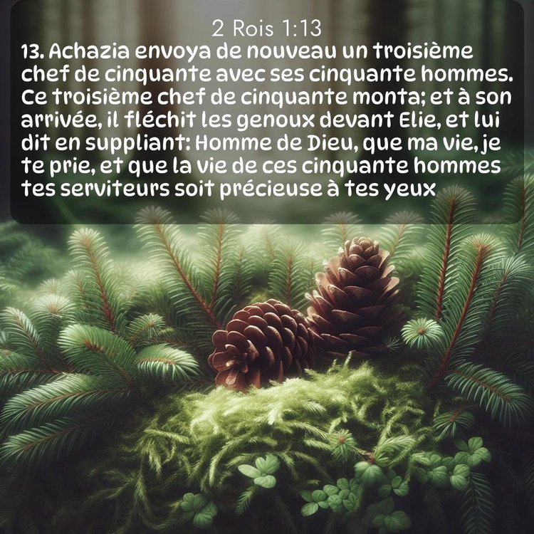 Segond 2 Rois 1:13