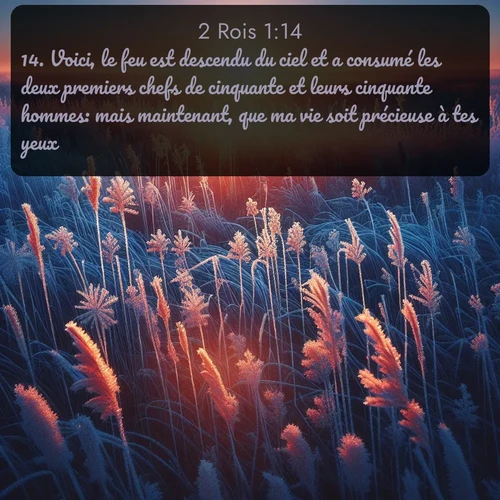 Segond 2 Rois  ; image nature: image avec le verset biblique :Voici, le feu est descendu du ciel et a consumé les deux premiers chefs de cinquante et leurs cinquante hommes: mais maintenant, que ma vie soit précieuse à tes yeux! ;  ; 1:14