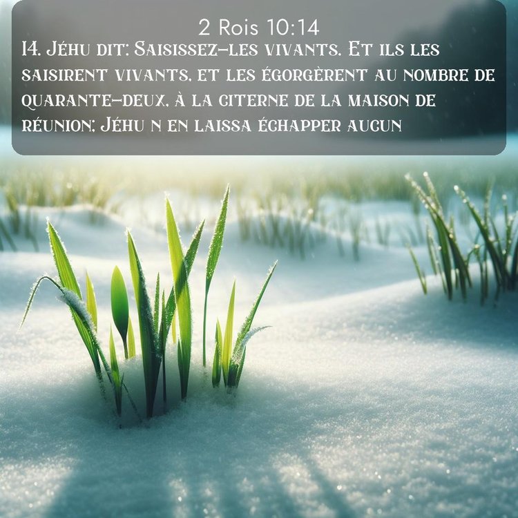 Segond 2 Rois 10:14