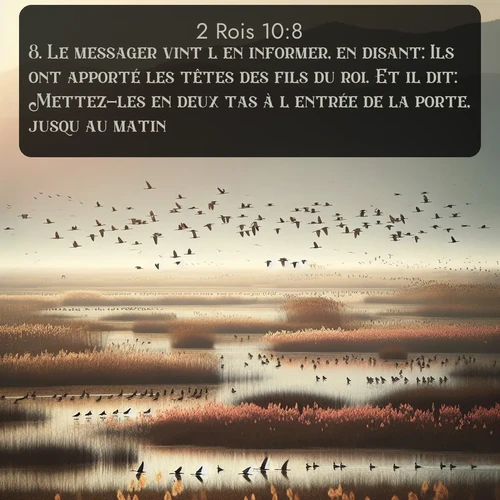 Segond 2 Rois  ; image nature: image avec le verset biblique :Le messager vint l&#039;en informer, en disant: Ils ont apporté les têtes des fils du roi. Et il dit: Mettez-les en deux tas à l&#039;entrée de la porte, jusqu&#039;au matin. ;  ; 10:8