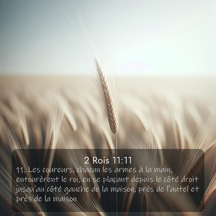 Segond 2 Rois 11:11