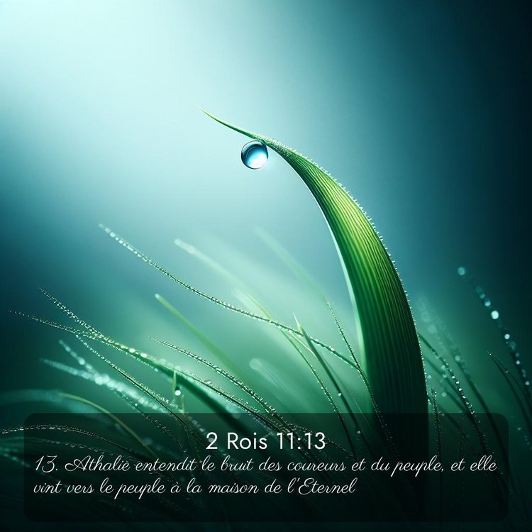 Segond 2 Rois 11:13