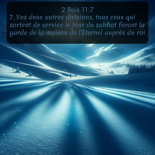 Segond 2 Rois  ; image nature: image avec le verset biblique :Vos deux autres divisions, tous ceux qui sortent de service le jour du sabbat feront la garde de la maison de l&#039;Eternel auprès du roi: ;  ; 11:7