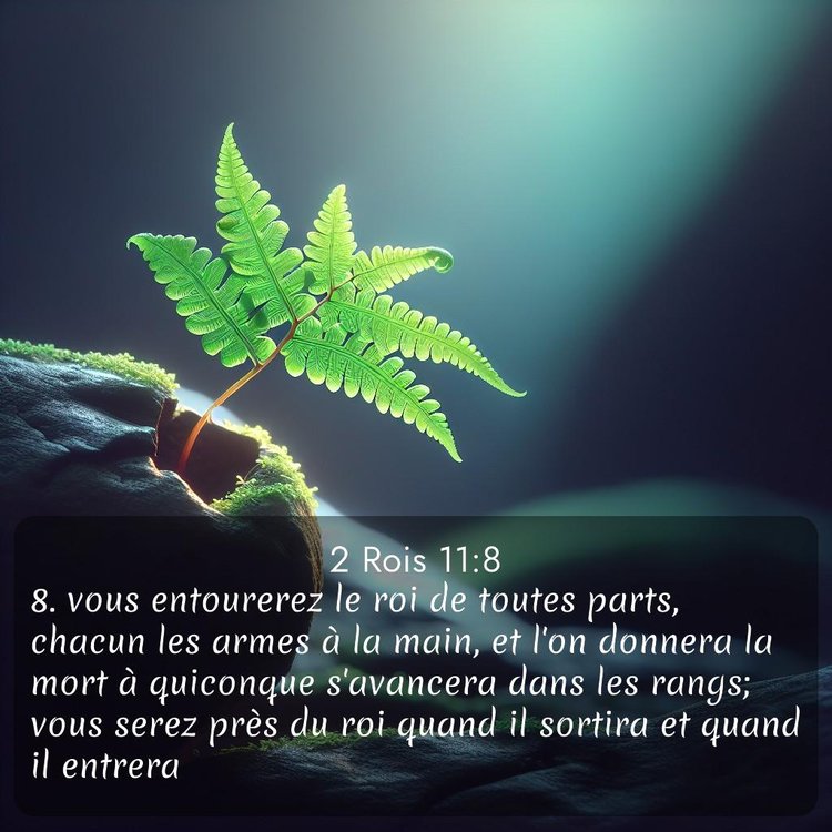 Segond 2 Rois 11:8