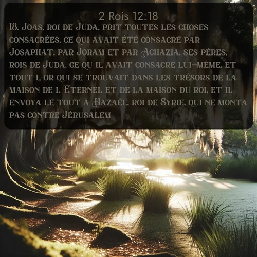 Segond 2 Rois  ; image nature: image avec le verset biblique :Joas, roi de Juda, prit toutes les choses consacrées, ce qui avait été consacré par Josaphat, par Joram et par Achazia, ses pères, rois de Juda, ce qu&#039;il avait consacré lui-même, et tout l&#039;or qui se trouvait dans les trésors de la maison de l&#039;Eternel et de la maison du roi, et il envoya le tout à Hazaël, roi de Syrie, qui ne monta pas contre Jérusalem. ;  ; 12:18