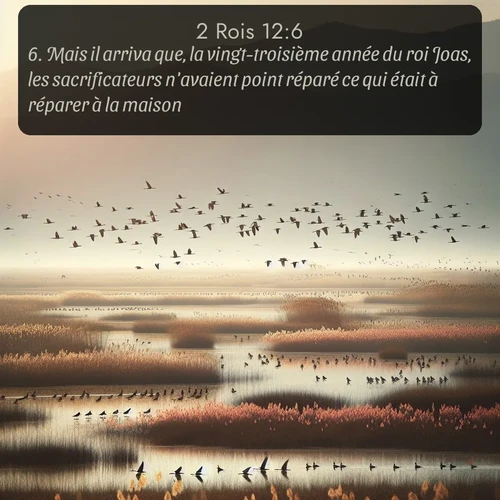Segond 2 Rois  ; image nature: image avec le verset biblique :Mais il arriva que, la vingt-troisième année du roi Joas, les sacrificateurs n&#039;avaient point réparé ce qui était à réparer à la maison. ;  ; 12:6