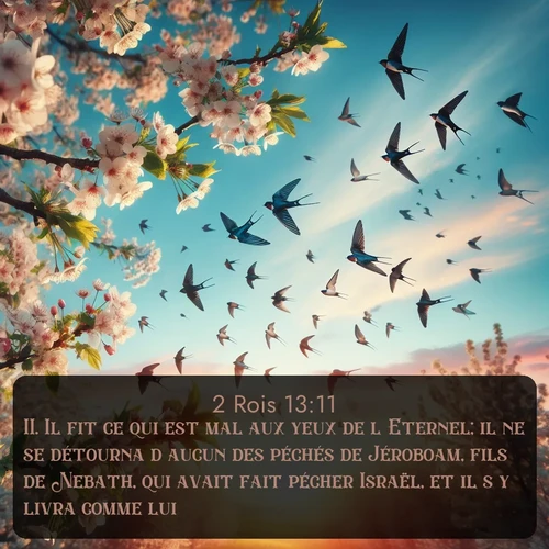 Segond 2 Rois  ; image nature: image avec le verset biblique :Il fit ce qui est mal aux yeux de l&#039;Eternel; il ne se détourna d&#039;aucun des péchés de Jéroboam, fils de Nebath, qui avait fait pécher Israël, et il s&#039;y livra comme lui. ;  ; 13:11