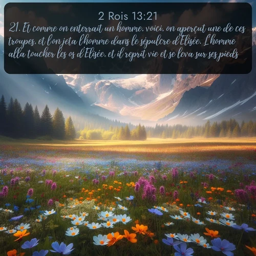 Segond 2 Rois  ; image nature: image avec le verset biblique :Et comme on enterrait un homme, voici, on aperçut une de ces troupes, et l&#039;on jeta l&#039;homme dans le sépulcre d&#039;Elisée. L&#039;homme alla toucher les os d&#039;Elisée, et il reprit vie et se leva sur ses pieds. ;  ; 13:21