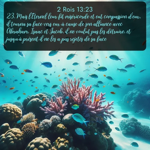 Segond 2 Rois  ; image nature: image avec le verset biblique :Mais l&#039;Eternel leur fit miséricorde et eut compassion d&#039;eux, il tourna sa face vers eux à cause de son alliance avec Abraham, Isaac et Jacob, il ne voulut pas les détruire, et jusqu&#039;à présent il ne les a pas rejetés de sa face. ;  ; 13:23