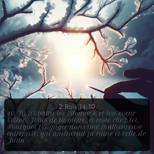 Segond 2 Rois  ; image nature: image avec le verset biblique :Tu as battu les Edomites, et ton coeur s&#039;élève. Jouis de ta gloire, et reste chez toi. Pourquoi t&#039;engager dans une malheureuse entreprise, qui amènerait ta ruine et celle de Juda? ;  ; 14:10
