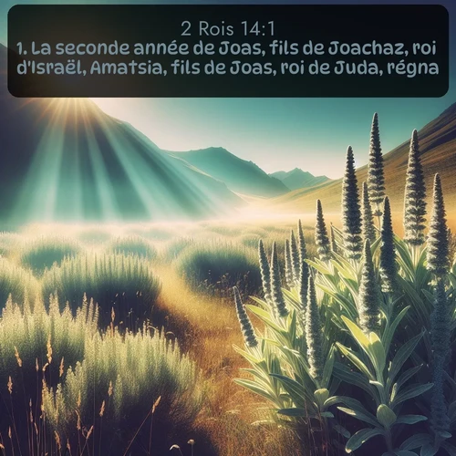 Segond 2 Rois  ; image nature: image avec le verset biblique :La seconde année de Joas, fils de Joachaz, roi d&#039;Israël, Amatsia, fils de Joas, roi de Juda, régna. ;  ; 14:1