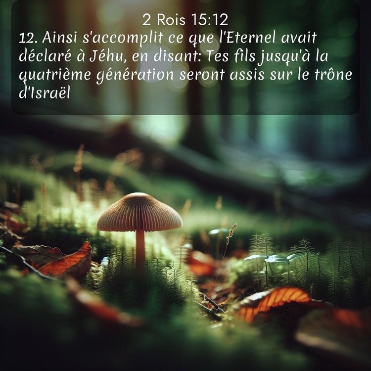 Segond 2 Rois 15:12