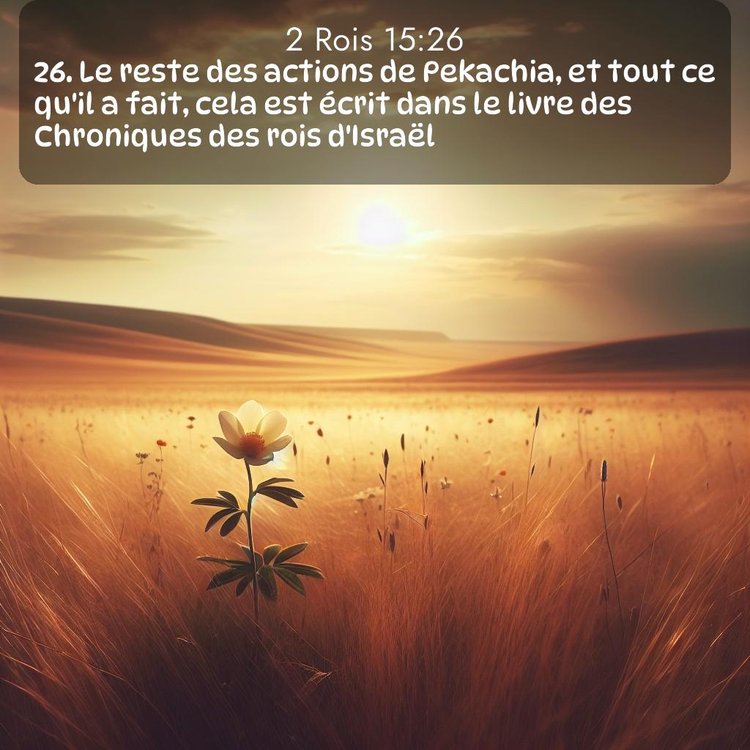 Segond 2 Rois 15:26