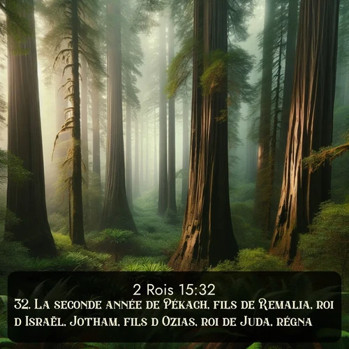 Segond 2 Rois  ; image nature: image avec le verset biblique :La seconde année de Pékach, fils de Remalia, roi d&#039;Israël, Jotham, fils d&#039;Ozias, roi de Juda, régna. ;  ; 15:32