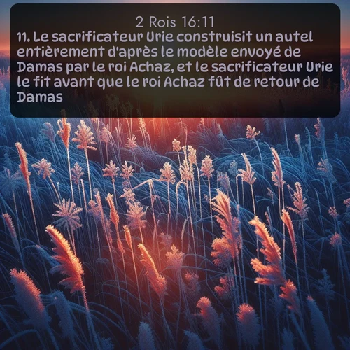 Segond 2 Rois  ; image nature: image avec le verset biblique :Le sacrificateur Urie construisit un autel entièrement d&#039;après le modèle envoyé de Damas par le roi Achaz, et le sacrificateur Urie le fit avant que le roi Achaz fût de retour de Damas. ;  ; 16:11