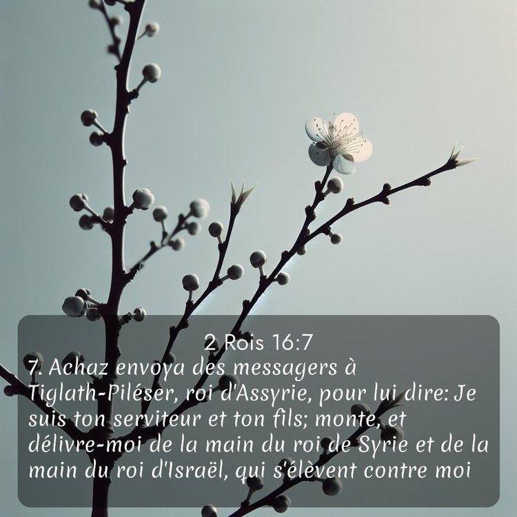 Segond 2 Rois 16:7