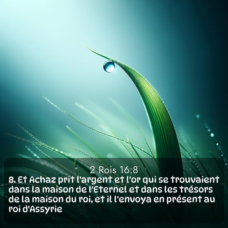 Segond 2 Rois 16:8