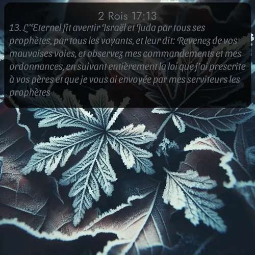 Segond 2 Rois  ; image nature: image avec le verset biblique :L&#039;Eternel fit avertir Israël et Juda par tous ses prophètes, par tous les voyants, et leur dit: Revenez de vos mauvaises voies, et observez mes commandements et mes ordonnances, en suivant entièrement la loi que j&#039;ai prescrite à vos pères et que je vous ai envoyée par mes serviteurs les prophètes. ;  ; 17:13