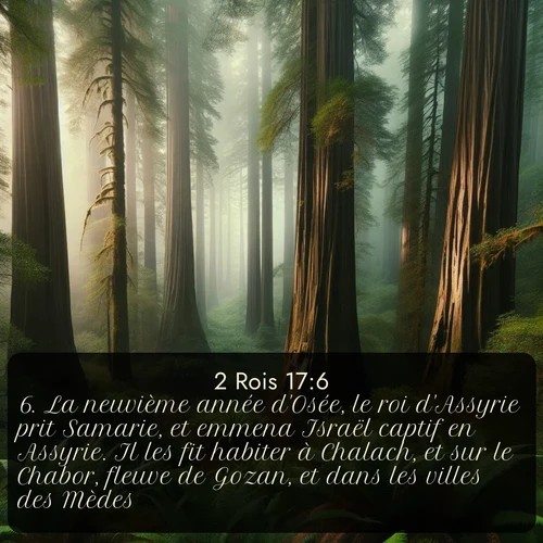 Segond 2 Rois  ; image nature: image avec le verset biblique :La neuvième année d&#039;Osée, le roi d&#039;Assyrie prit Samarie, et emmena Israël captif en Assyrie. Il les fit habiter à Chalach, et sur le Chabor, fleuve de Gozan, et dans les villes des Mèdes. ;  ; 17:6