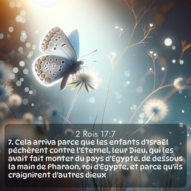 Segond 2 Rois 17:7