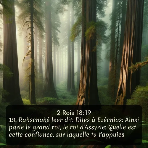 Segond 2 Rois  ; image nature: image avec le verset biblique :Rabschaké leur dit: Dites à Ezéchias: Ainsi parle le grand roi, le roi d&#039;Assyrie: Quelle est cette confiance, sur laquelle tu t&#039;appuies? ;  ; 18:19