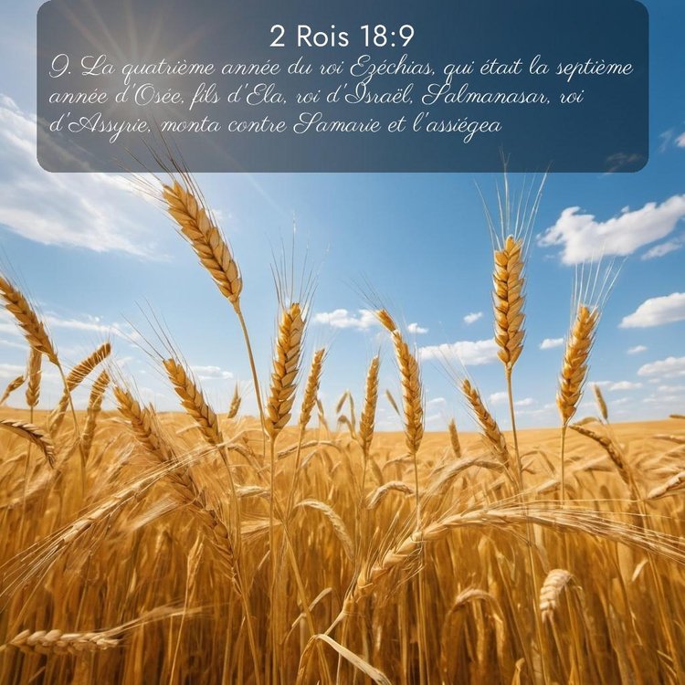 Segond 2 Rois 18:9